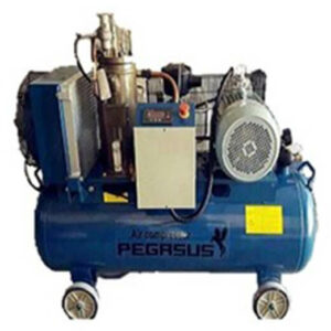 Máy nén khí trục vít PEGASUS TMTV-7.5A